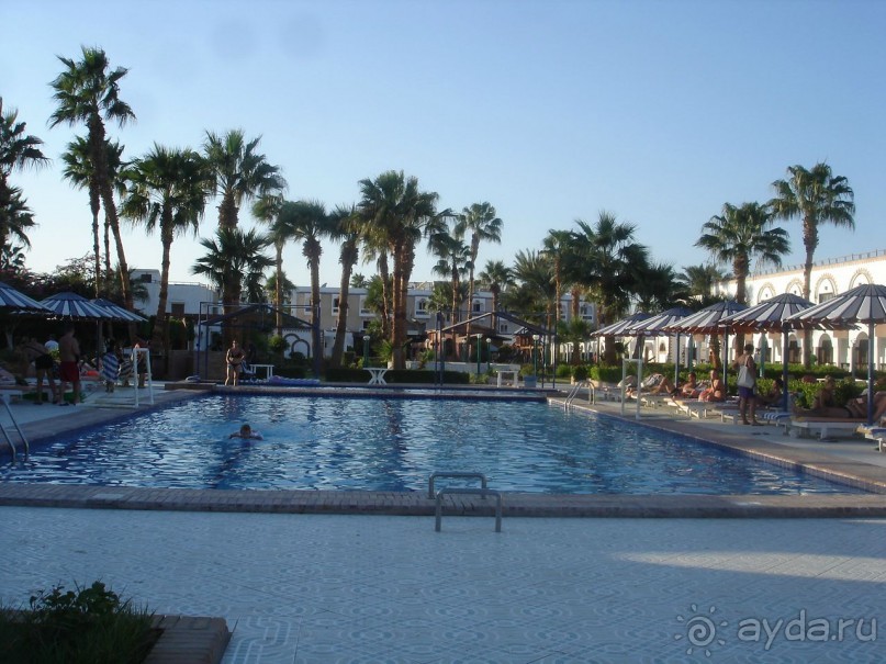 фото Al Mashrabiya