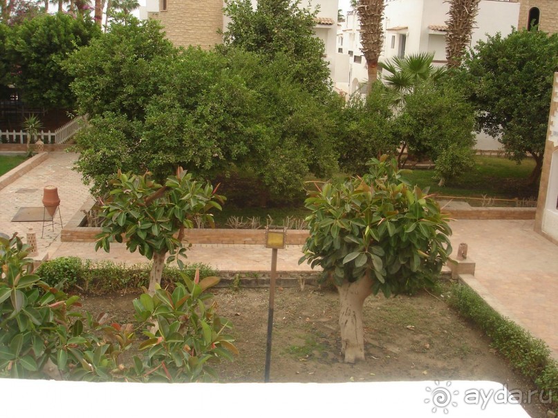 фото Outrigger Reef on the Beach