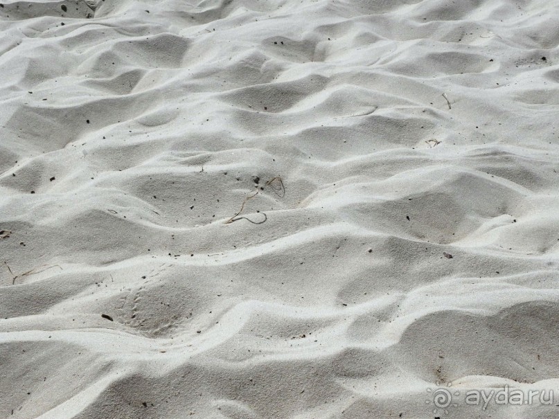 Tour Khalef 4* хороший СПА центр