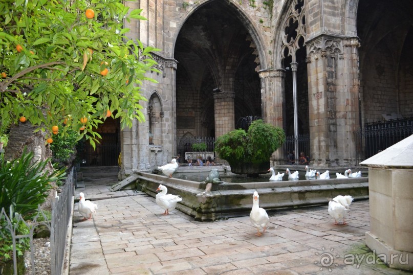 Испания...а так же Франция и Германия понемногу