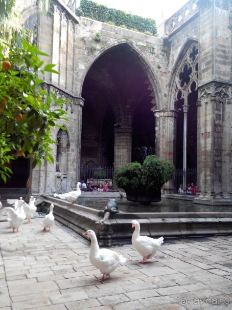 Барселона. Собор в готическом квартале