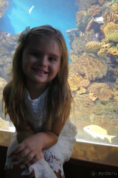 Испания...а так же Франция и Германия понемногу