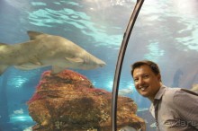 Испания...а так же Франция и Германия понемногу