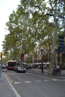 Испания...а так же Франция и Германия понемногу