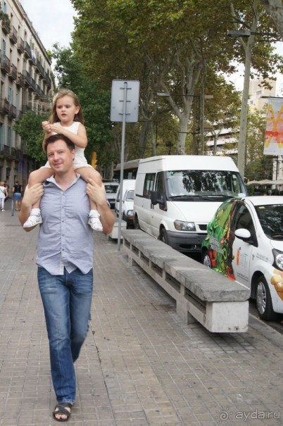 Испания...а так же Франция и Германия понемногу