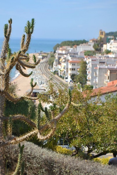 Испания...а так же Франция и Германия понемногу