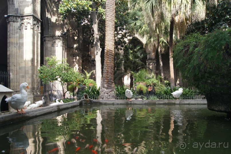 Испания...а так же Франция и Германия понемногу