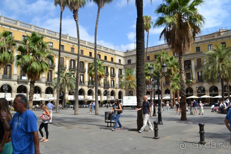 Испания...а так же Франция и Германия понемногу