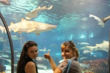 Испания...а так же Франция и Германия понемногу