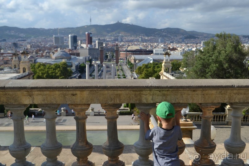Испания...а так же Франция и Германия понемногу