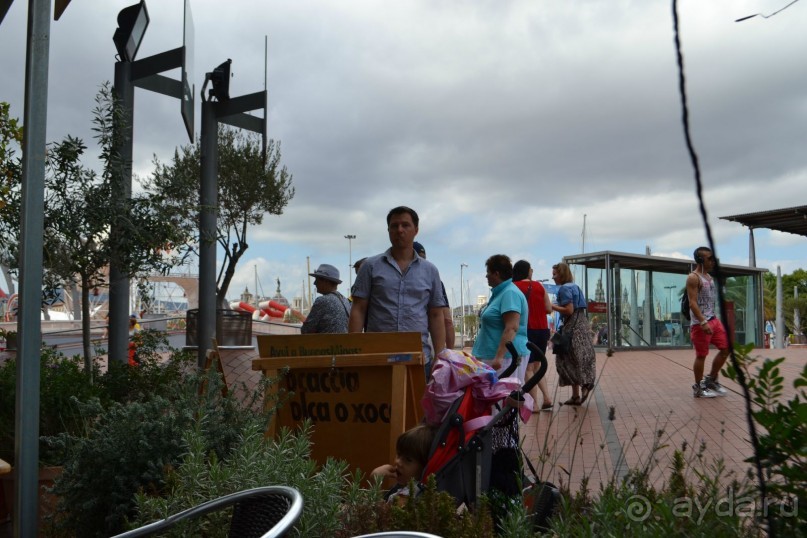 Испания...а так же Франция и Германия понемногу