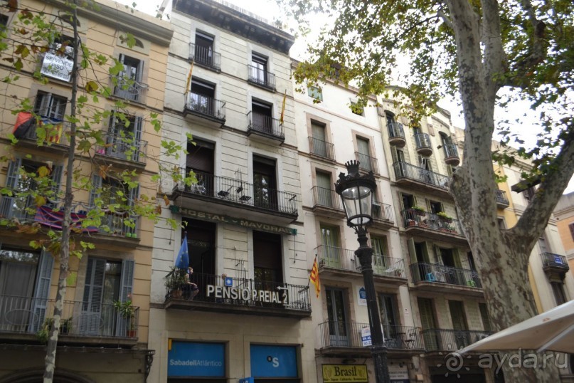 Испания...а так же Франция и Германия понемногу