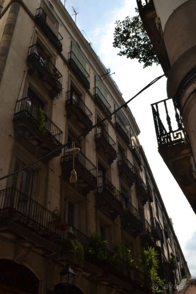 Испания...а так же Франция и Германия понемногу