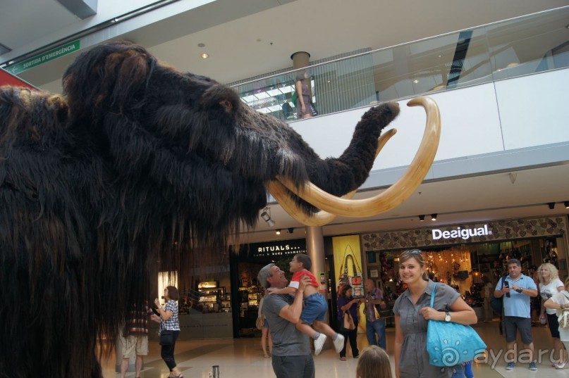 Испания...а так же Франция и Германия понемногу