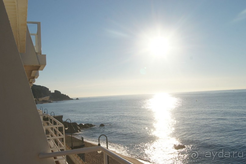 Испания...а так же Франция и Германия понемногу