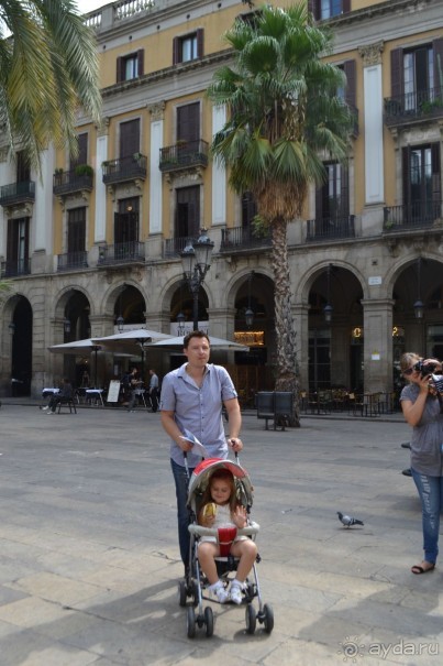 Испания...а так же Франция и Германия понемногу