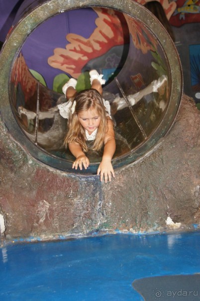 Испания...а так же Франция и Германия понемногу