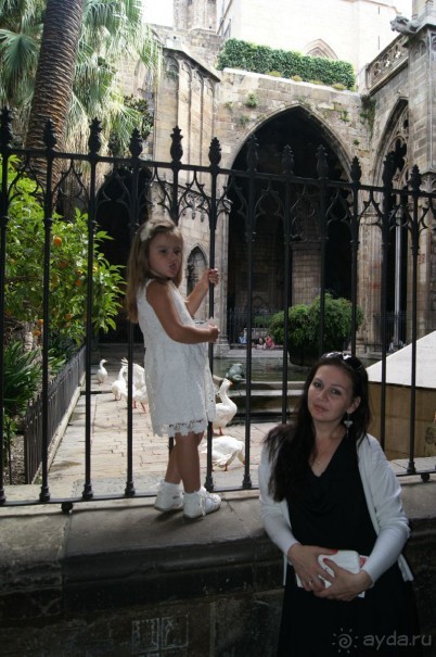 Испания...а так же Франция и Германия понемногу