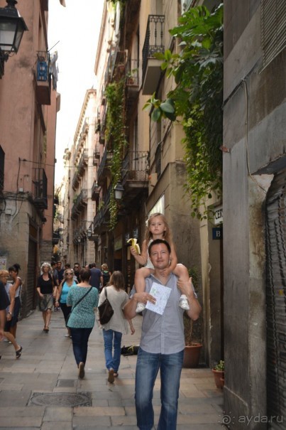 Испания...а так же Франция и Германия понемногу