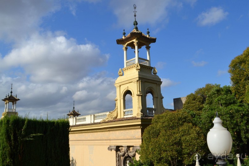 Испания...а так же Франция и Германия понемногу