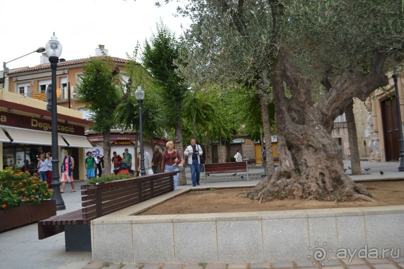 Испания...а так же Франция и Германия понемногу