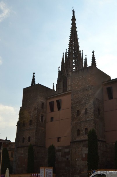 Испания...а так же Франция и Германия понемногу