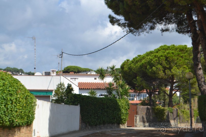 Испания...а так же Франция и Германия понемногу