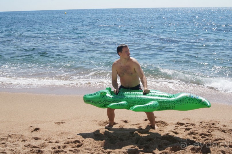 Испания...а так же Франция и Германия понемногу