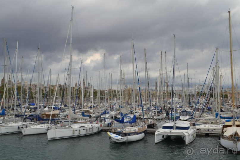 Испания...а так же Франция и Германия понемногу