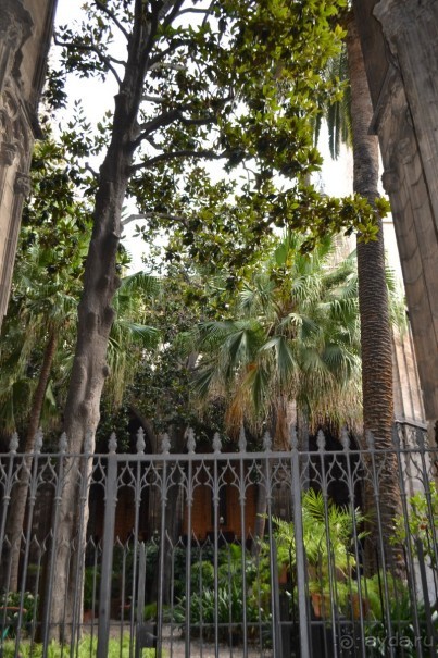 Испания...а так же Франция и Германия понемногу