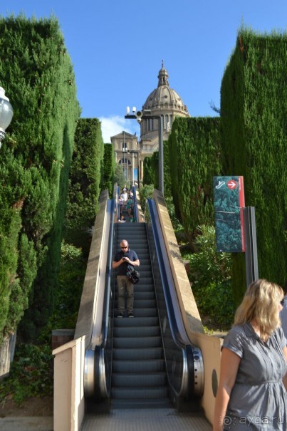 Испания...а так же Франция и Германия понемногу