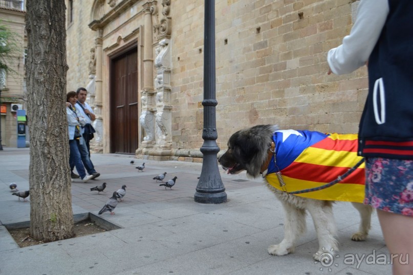Испания...а так же Франция и Германия понемногу