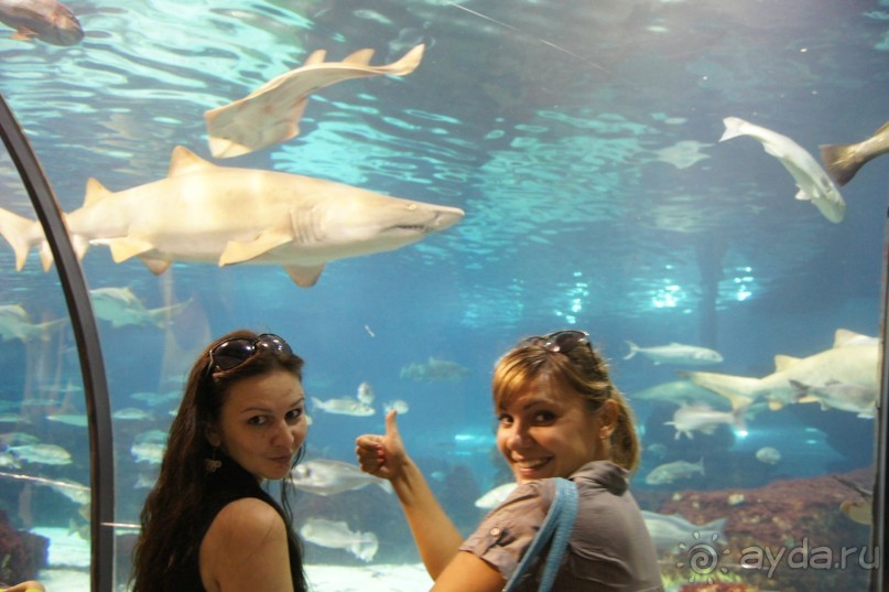 Испания...а так же Франция и Германия понемногу