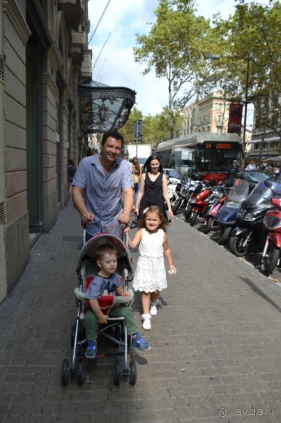 Испания...а так же Франция и Германия понемногу