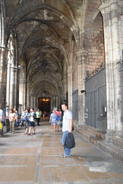 Испания...а так же Франция и Германия понемногу