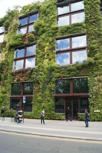 Париж + Берлин = ВЕЛИКОЛЕПНЫЙ ОТДЫХ!!!