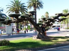 California Garden Aportaments-это сказка, это харомы!!!