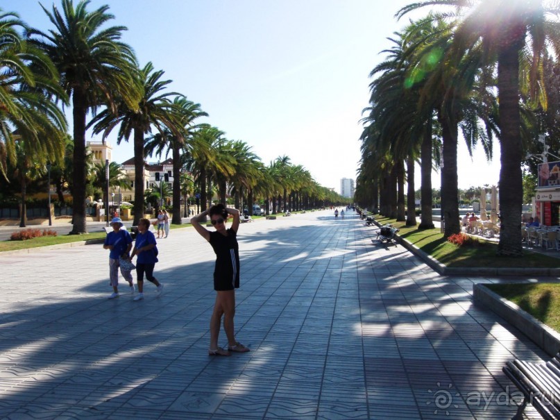 фото Viceroy Palm Springs
