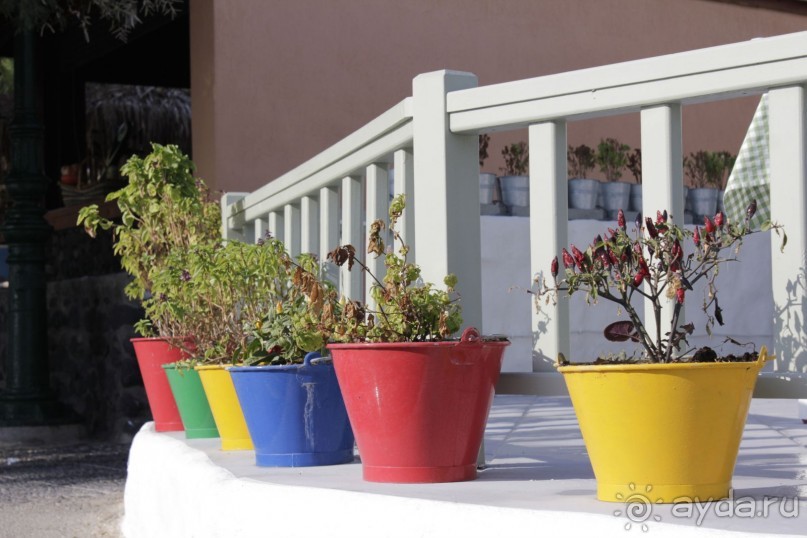 Критские вечера