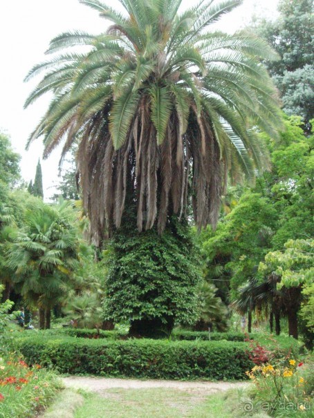 Замечательный отдых