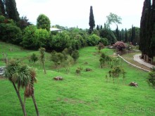 Замечательный отдых