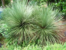 Замечательный отдых