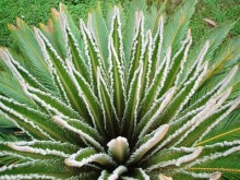 Замечательный отдых