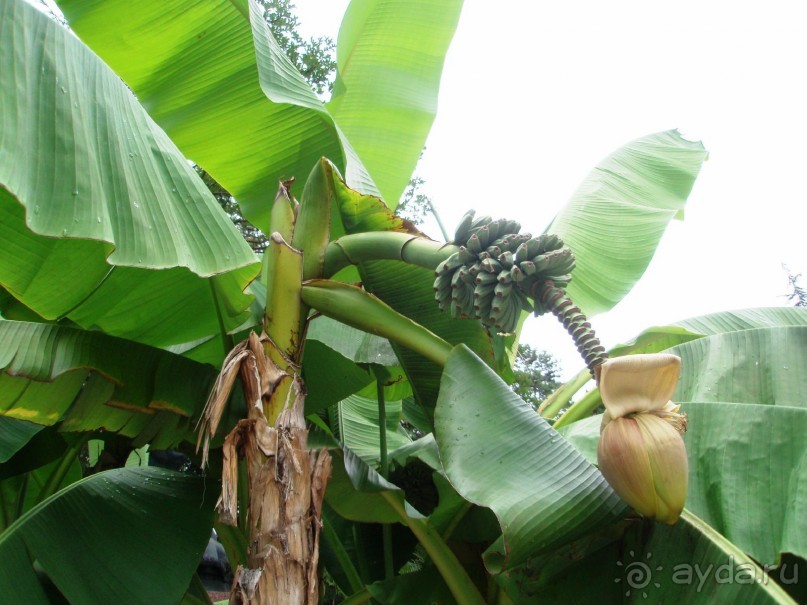 Замечательный отдых