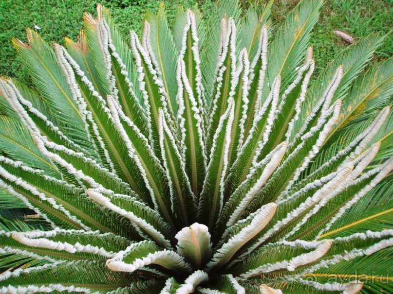 Замечательный отдых