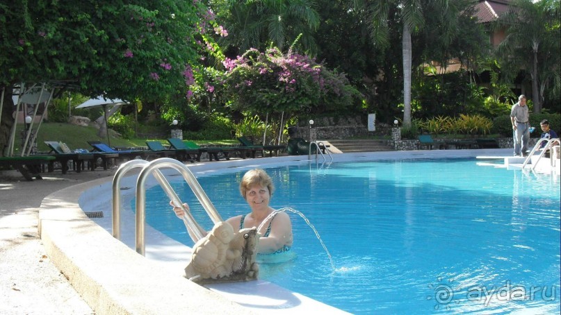 бассейн у отеля