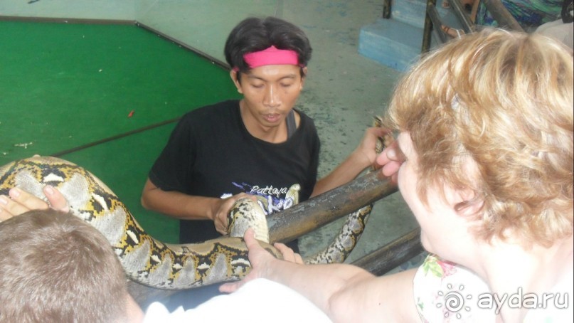 Шоу на змеиной ферме.     Потрогала питона..........
