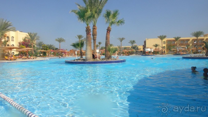 фото Desert Rose Resort