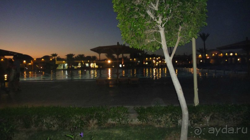 фото Desert Rose Resort