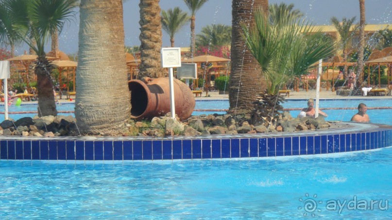 фото Desert Rose Resort